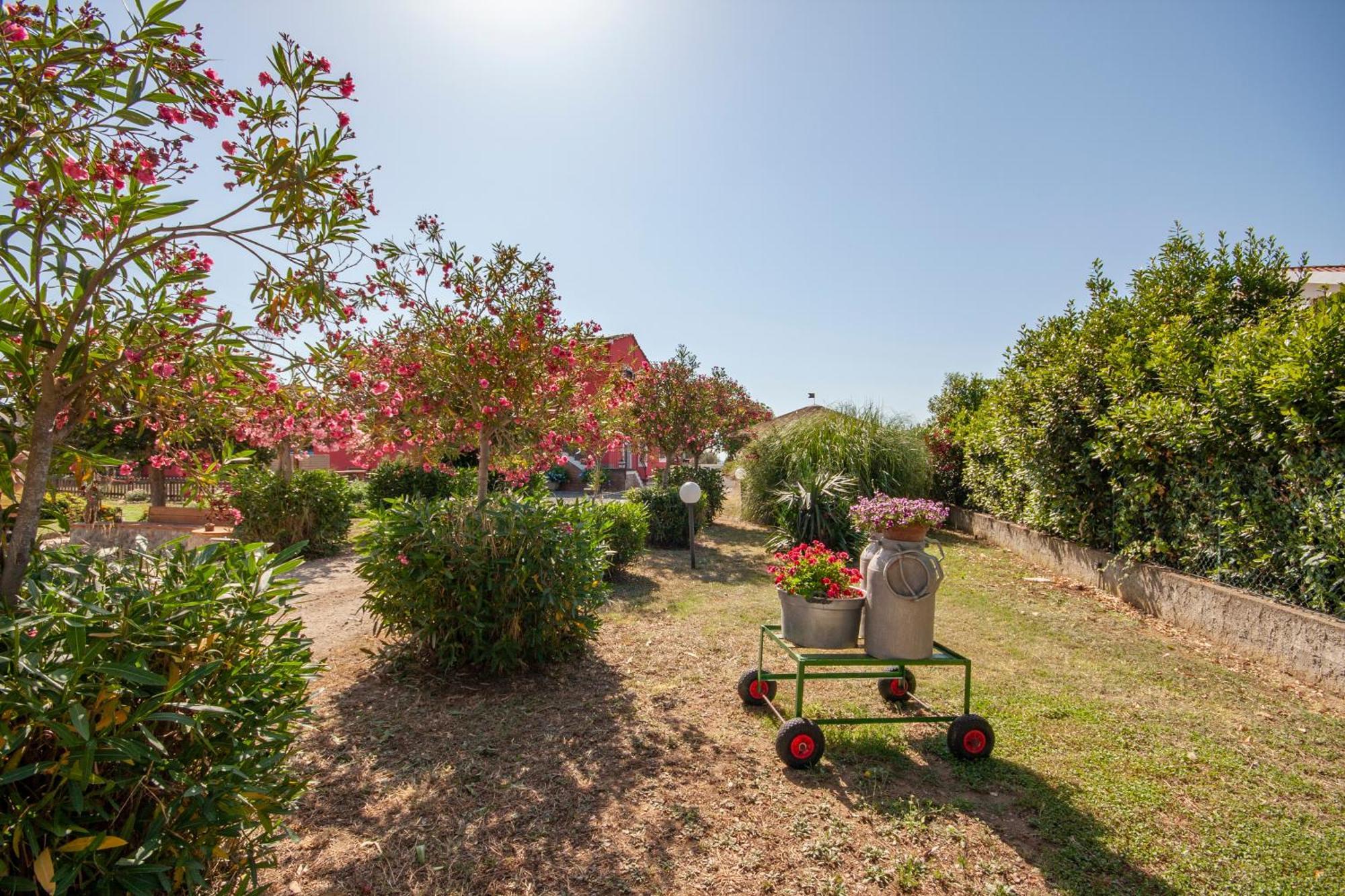 Agriturismo L'Istrice Di Gio มอนตัลโต ดิ กัสโตร ภายนอก รูปภาพ