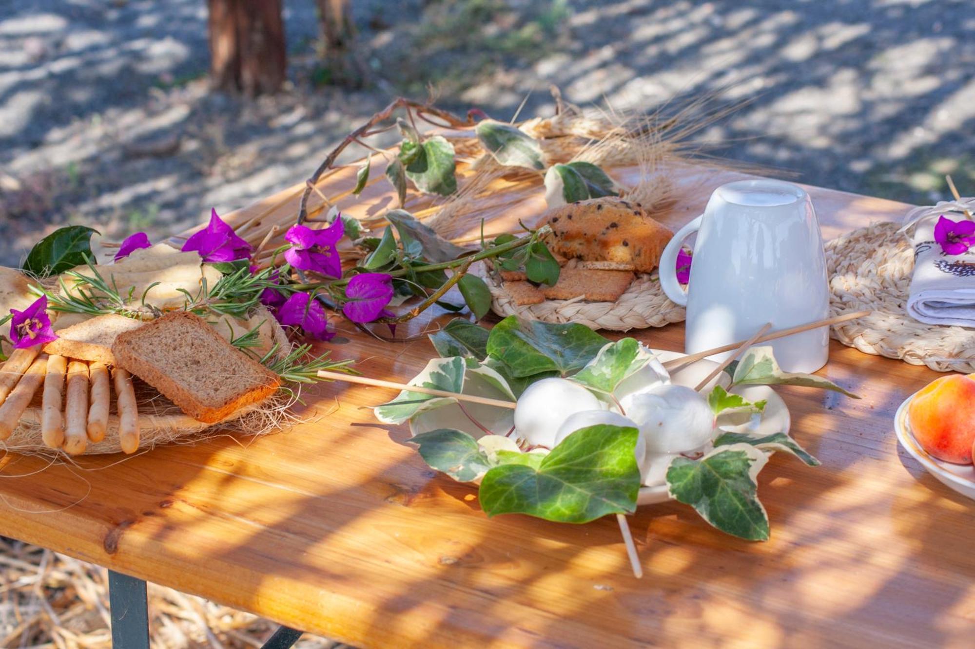 Agriturismo L'Istrice Di Gio มอนตัลโต ดิ กัสโตร ภายนอก รูปภาพ